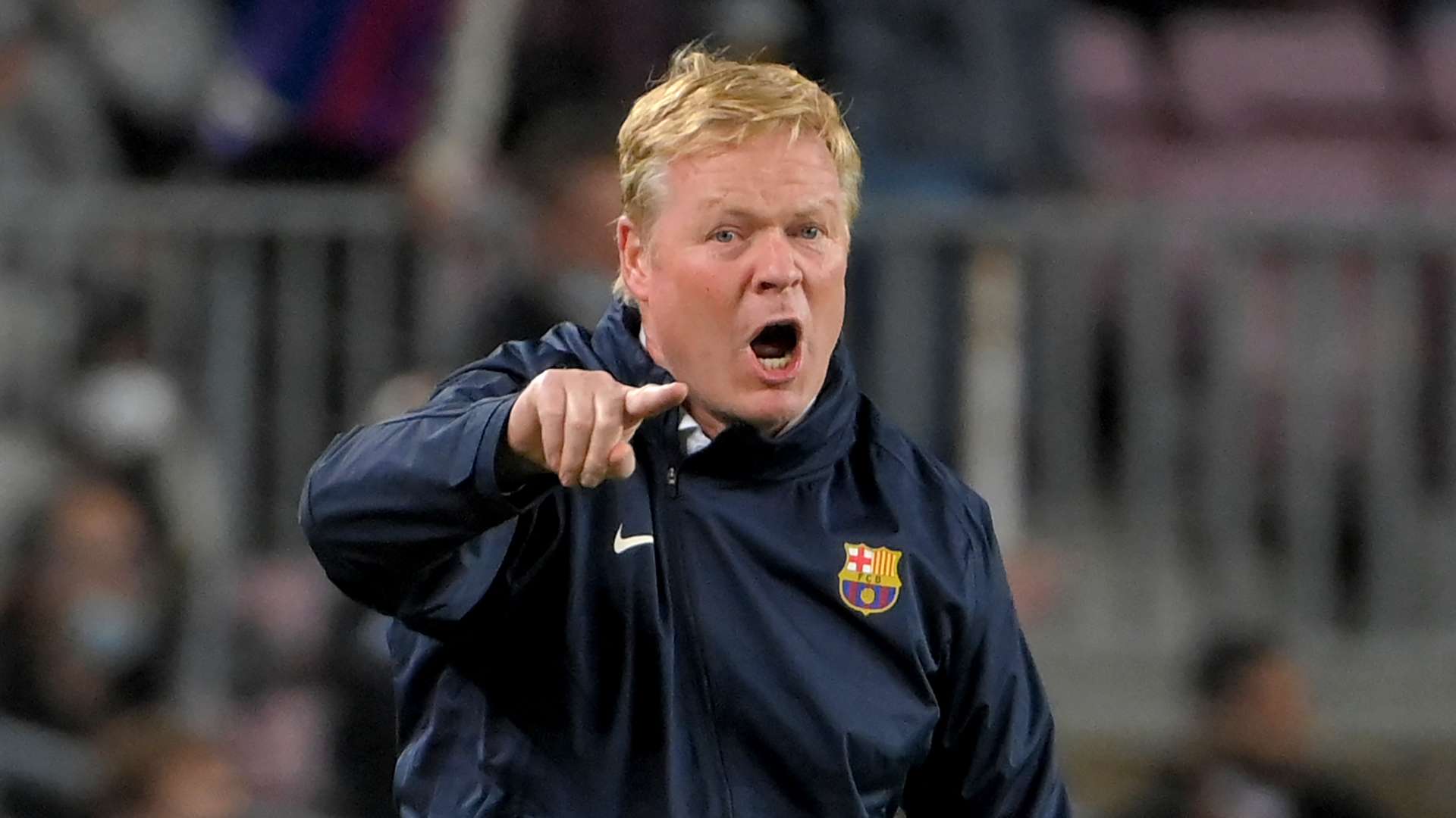 至整个德甲 至整个德甲